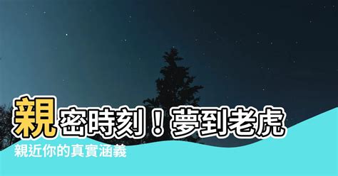 夢到老虎寶寶|小孩夢到老虎